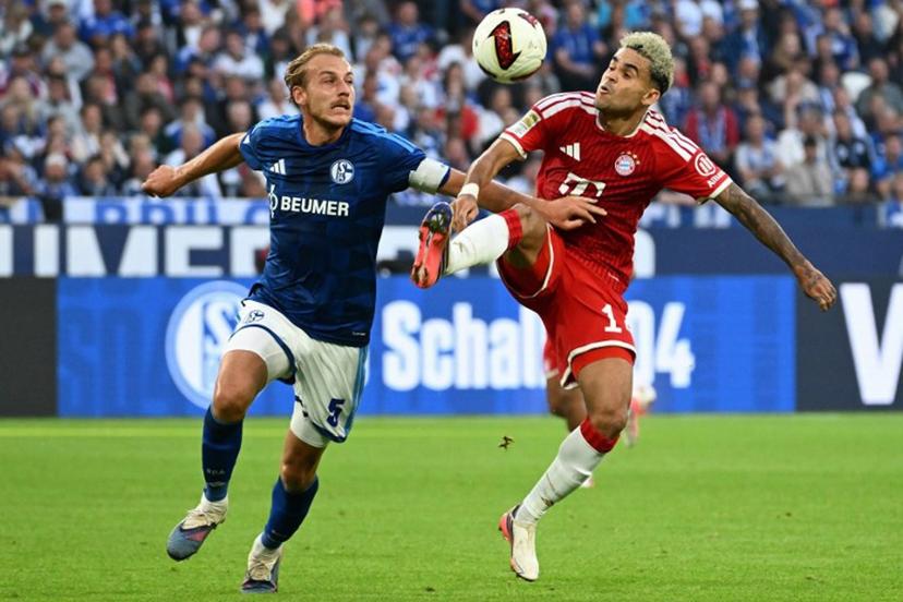 Schalke's German defender #05 Timo Becker (L) and Bayern Munich's Colombian forward #14 Luis Diaz vie for the ball during the German first division Bundesliga football match between Schalke 04 and FC Bayern Munich in Gelsenkirchen, western Germany on September 5, 2026.  UWE KRAFT / AFP