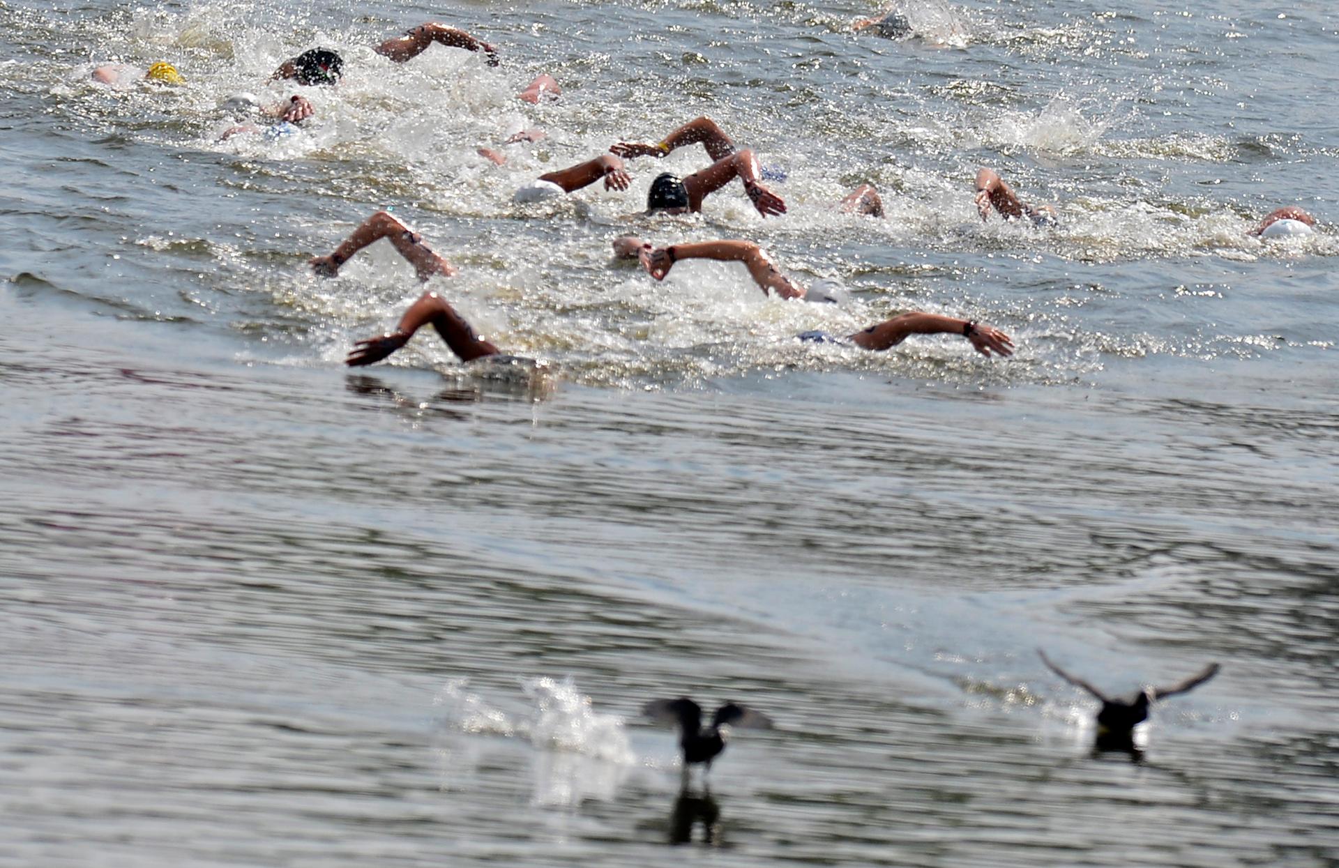 20120810 - LONDON, UNITED KINGDOM: Illustration picture shows the men's 10KM marathon open water swimming event at the 2012 Summer Olympic Games, Friday 10 August 2012 in London, United Kingdom. BELGA PHOTO DIRK WAEM