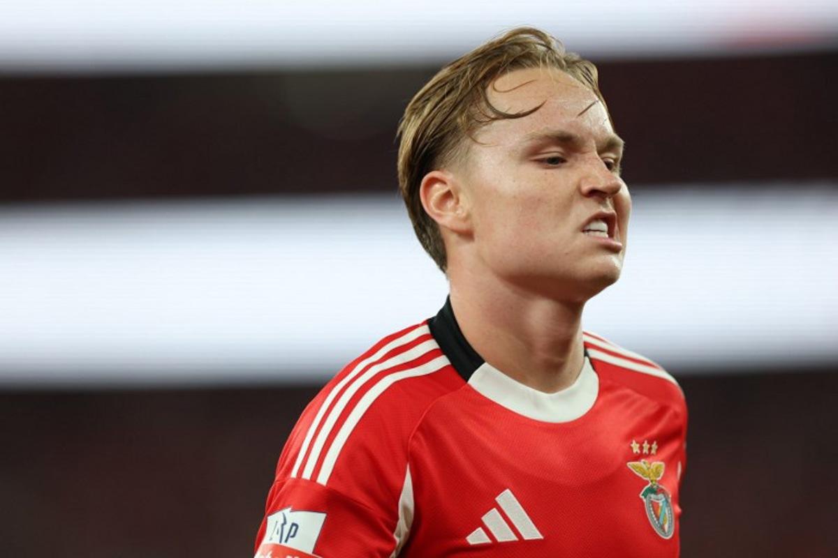 Benfica's Norwegian forward #21 Andreas Schjelderup reacts during the Portuguese league football match between SL Benfica and CD Tondela at Estadio da Luz in Lisbon on August 23, 2025.  PATRICIA DE MELO MOREIRA / AFP
