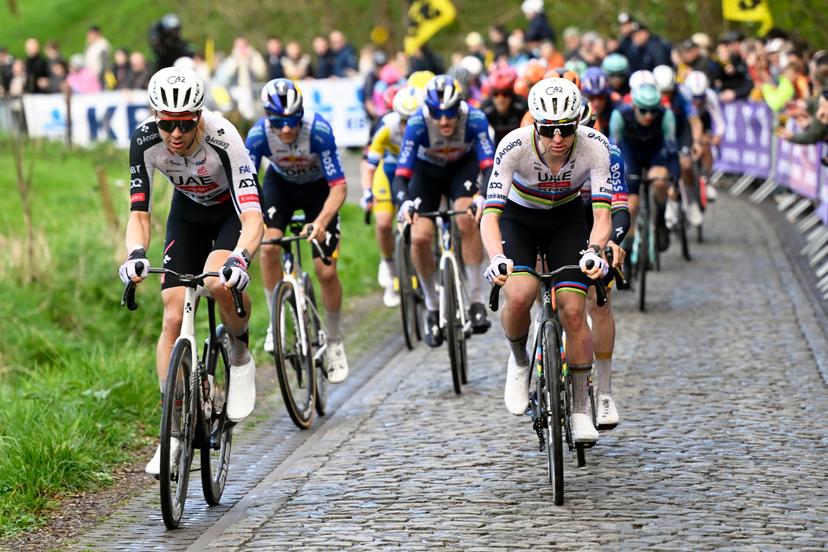 Belgian Florian Vermeersch of UAE Team Emirates and Slovenian Tadej Pogacar of UAE Team Emirates pictured in action during the men's race of the 'Ronde van Vlaanderen/ Tour des Flandres/ Tour of Flanders' UCI WorldTour one day cycling race, 278 km from Antwerp to Oudenaarde, Sunday 05 April 2026. BELGA PHOTO POOL NICO VEREECKEN