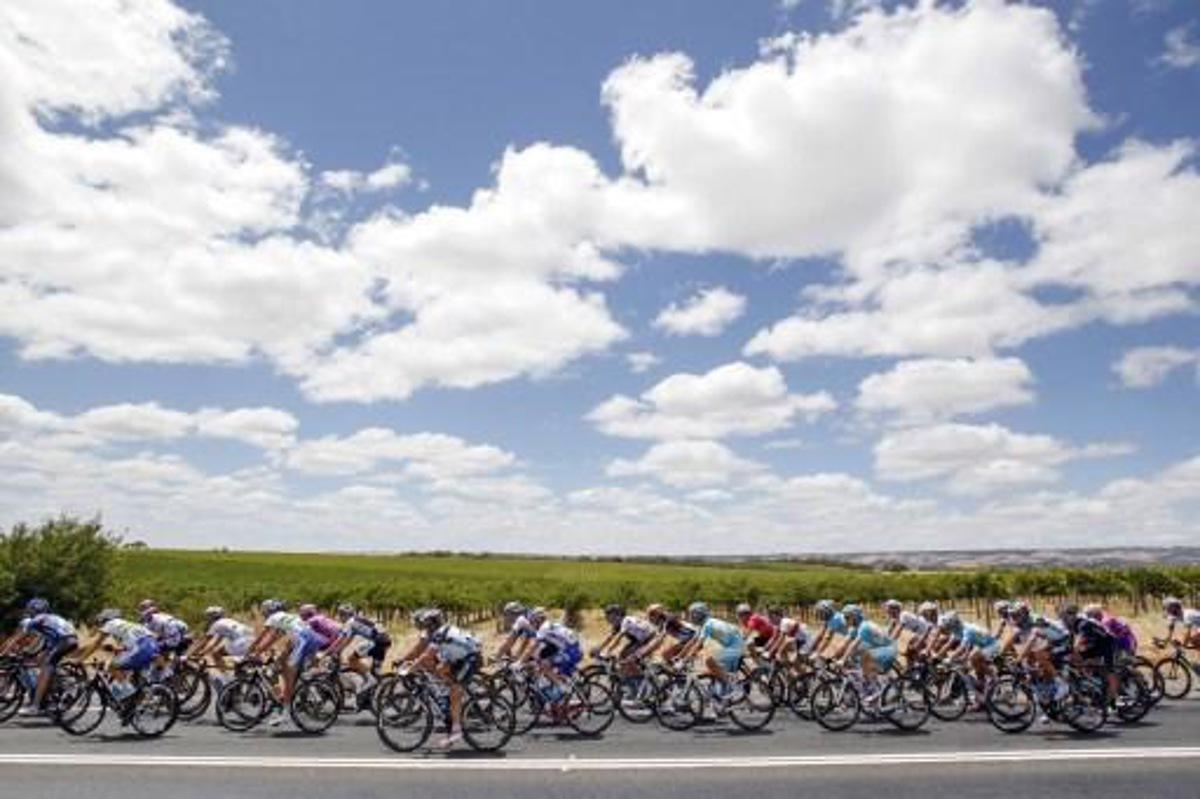 The peloton rides during the 151.5-km stage 5 of the Tour Down Under in Adelaide on January 26, 2013.  The six-stage Tour Down Under is taking place from January 20 to 27.     AFP PHOTO / Mark Gunter IMAGE STRICTLY RESTRICTED TO EDITORIAL USE - STRICTLY NO COMMERCIAL USE IMAGE STRICTLY RESTRICTED TO EDITORIAL USE - STRICTLY NO COMMERCIAL USE


