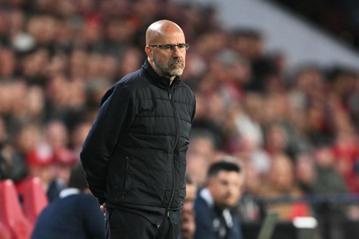 PSV Eindhoven's Dutch coach Peter Bosz looks on during the UEFA Champions League first round day 1 football match between PSV Eindhoven and Union Saint-Gilloise at the Philips Stadium, in Eindhoven on September 16, 2025. NICOLAS TUCAT / AFP