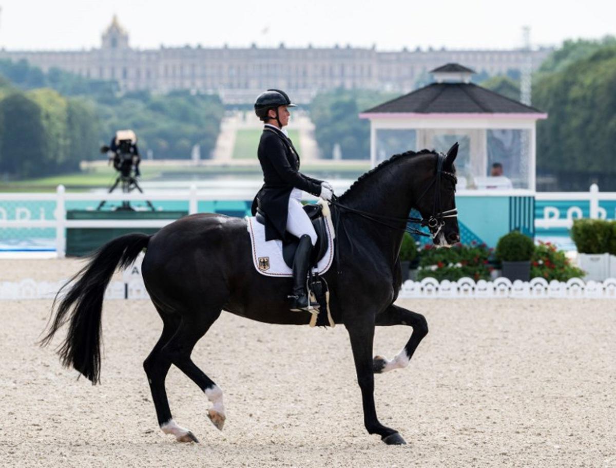 Germany's Isabell Werth with horse Wendy competes in the equestrian's dressage team grand prix day 2 during the Paris 2024 Olympic Games at the Chateau de Versailles, in Versailles, in the western outskirts of Paris, on July 31, 2024. John MACDOUGALL / AFP